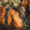 Harnais Front Range Ruffwear Moonlight Mountains, Medium