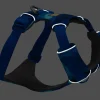 Harnais Front Range Ruffwear Coastal Mountains, Medium