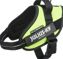 Harnais IDC Julius K9 - MINI - NEON