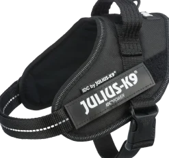 Harnais IDC Julius K9 - MINI - noir