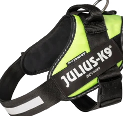 Harnais IDC Julius K9 - Taille 1 - NEON