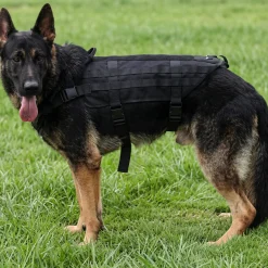 Harnais Intervention K9 Special Coyotte avec boucle Cobra
