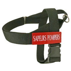 Harnais intervention, SAPEURS POMPIERS