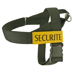Harnais intervention, SECURITE