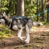 Harnais NON-STOP Dogwear Freemotion - taille 4