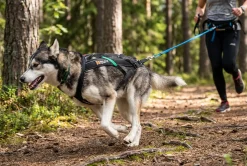 Harnais NON-STOP Dogwear Freemotion - taille 5