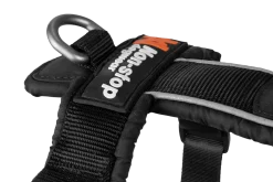 Harnais NON-STOP Dogwear Line Harness 5.0 - taille 4