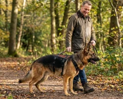 Harnais NON-STOP Dogwear Rock Harness Long - taille L