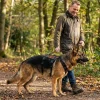 Harnais NON-STOP Dogwear Rock Harness Long - taille XL