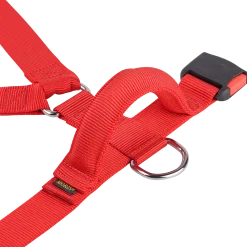 Harnais nylon avec poignée 40 mm, taille 2, rouge