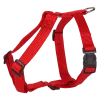 Harnais nylon 20 mm, rouge