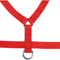 Harnais nylon 25 mm, rouge