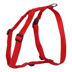 Harnais nylon 25 mm, rouge