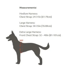 Harnais nylon MODERN ICON - PATROL HARNESS Cam - Medium