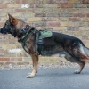 Harnais nylon MODERN ICON - PATROL HARNESS Cam noir - Medium