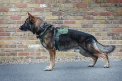 Harnais nylon MODERN ICON - PATROL HARNESS Cam noir - Large