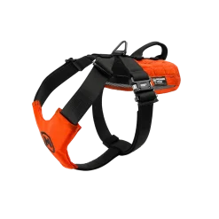 Harnais nylon MODERN ICON - PATROL HARNESS Orange - Medium