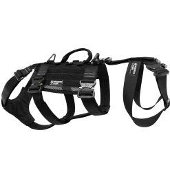 Harnais nylon MODERN ICON - RAPPELING HARNESS CAM Noir - Medium