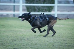 Harnais nylon MODERN ICON - TRACKING HARNESS Noir - XLarge
