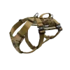 Harnais nylon MODERN ICON - TRACKING HARNESS Cam - Medium