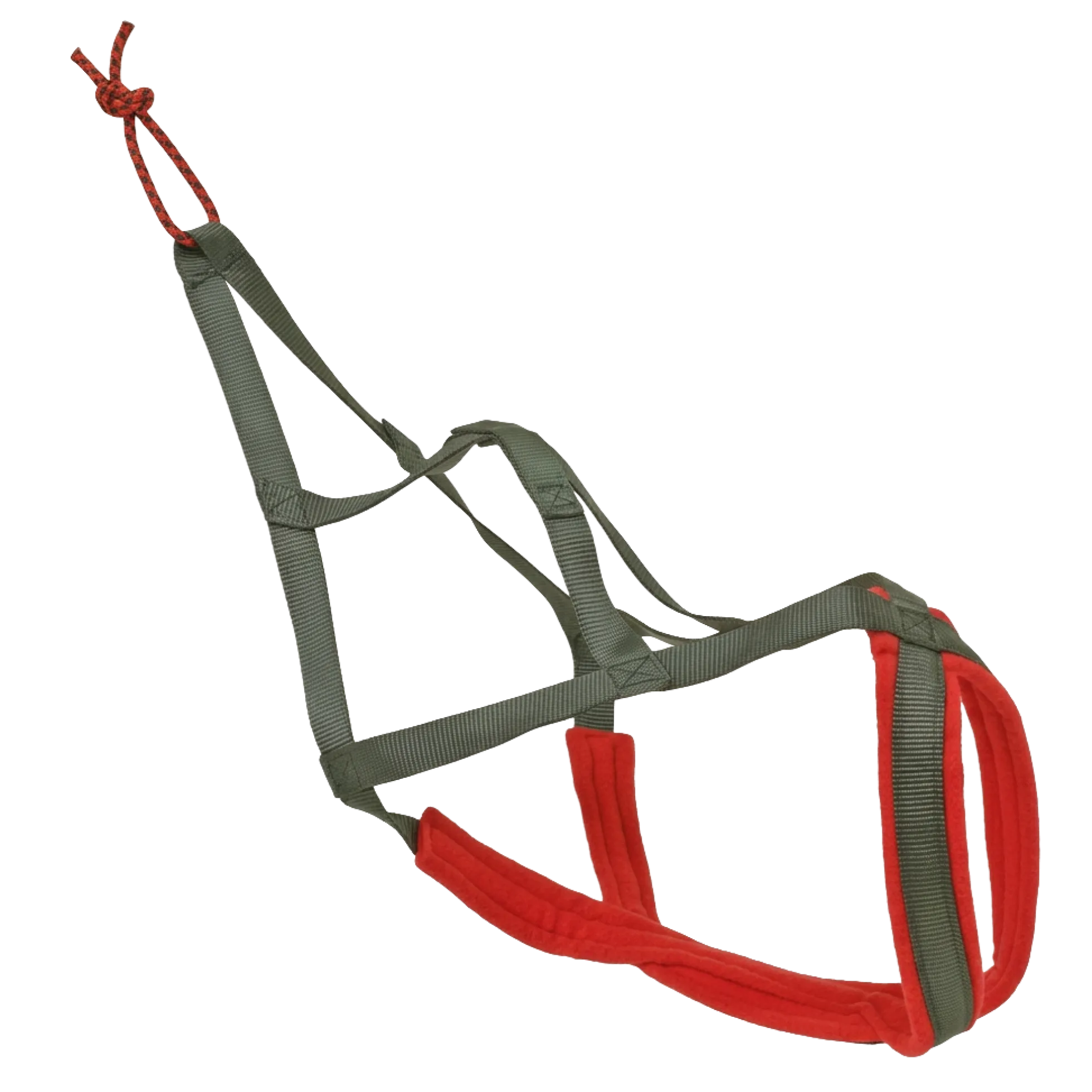 Harnais nylon pour chien de traineau 55 cm