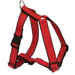 Harnais nylon Stripes 40 mm, taille 1, rouge