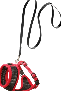 Harnais pour chat noir / rouge taille L