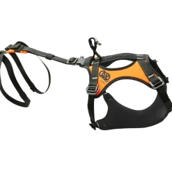Harnais pour chien de sauvetage HARIA - KONG K9
