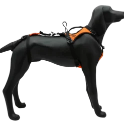 Harnais pour chien de sauvetage HARIA - KONG K9