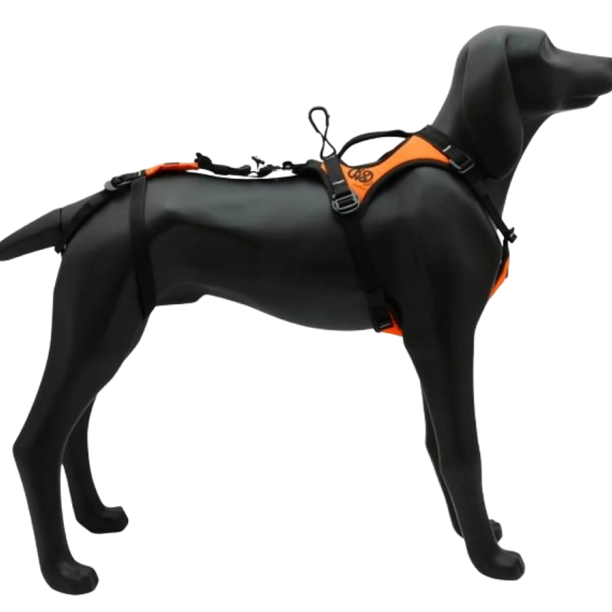 Harnais pour chien de sauvetage HARIA - KONG K9