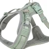 Harnais Premium FlexMesh, coupe large, XS–S: 40–57 cm,15 mm, pétrole
