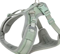 Harnais Premium FlexMesh, coupe large, XS–S: 40–57 cm,15 mm, pétrole