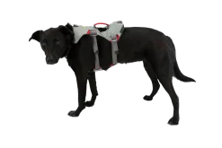 Harnais Ruffwear Double Back, Medium