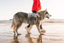 Harnais Ruffwear Swamp Cooler, graphite gris, L / XLarge