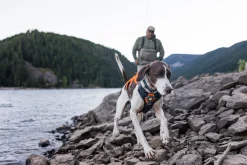 Harnais Ruffwear Web Master, gris, Large