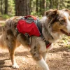 Harnais RuffWear Webmaster PRO, Small