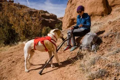 Harnais Ruffwear Web Master, rouge, Small