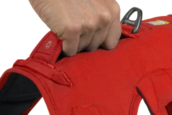 Harnais Ruffwear Web Master, rouge, Small