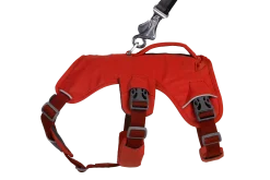 Harnais Ruffwear Web Master, rouge, Small