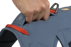 Harnais Ruffwear Web Master, slate blue, Small