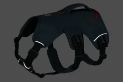 Harnais Ruffwear Web Master, slate blue, Small