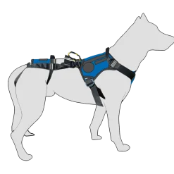 Harnais Salvatex bleu marine