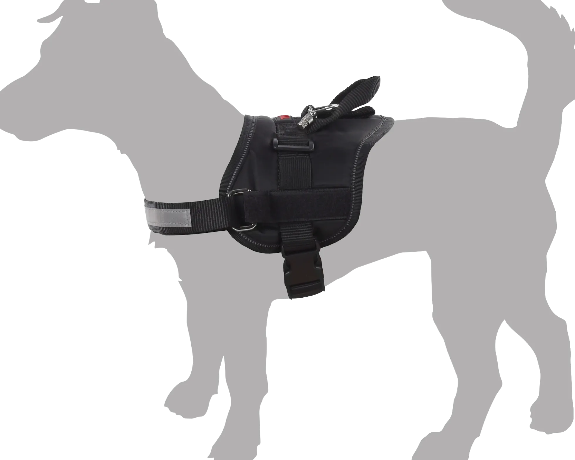 Harnais Xtrem No Limit, 50 mm, 70,87 cm