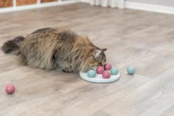 Jeux de stratégie Solitaire pour chat