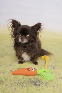 Jouet chien latex Xibor carotte orange