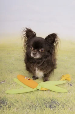 Jouet chien latex Xibor mais jaune