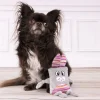 Jouet chien Pieno Lapin