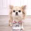 Jouet chien Pieno Lapin
