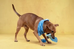 Jouet chien TPR SNOWY poisson bleu
