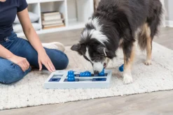Jouet d'éveil pour chien - Chess